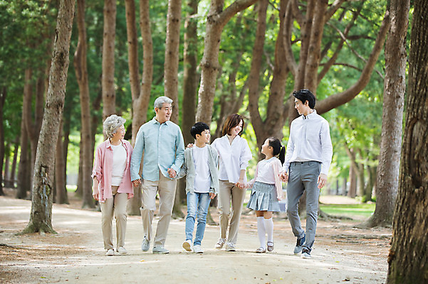 포토 JPG 주간 전신 나무 부부 응시 여자 노년 남자 어린이 가족 대가족 남매 가족애 미소 사람 여러명 성인 야외 앞모습 10대 30대 부모 마주보기 걷기 손잡기 산책 산책로 한국인 자녀 가족라이프 60대 손주 70대 남이섬 조부모 어깨에손 국내포토 자연요소 식물 라이프스타일 커플 시선 길 뷰포인트 섬 다수 관계 모션 청소년 휴식 표정 사랑 동양인 장년 강원도 파일형식