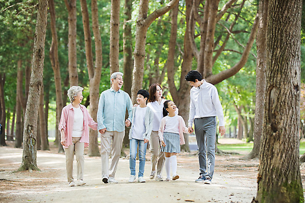 포토 JPG 주간 전신 나무 부부 응시 여자 노년 남자 어린이 가족 대가족 남매 가족애 웃음 사람 여러명 성인 야외 앞모습 10대 30대 부모 마주보기 걷기 손잡기 산책 산책로 한국인 자녀 가족라이프 60대 손주 70대 남이섬 조부모 국내포토 자연요소 식물 라이프스타일 커플 시선 길 뷰포인트 섬 다수 관계 모션 청소년 휴식 표정 사랑 동양인 장년 강원도 파일형식