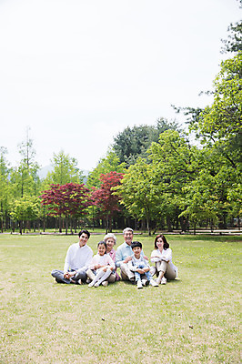 포토 JPG 주간 전신 나무 부부 응시 여자 노년 남자 어린이 가족 안기 대가족 남매 가족애 미소 웃음 사람 앉기 잔디 여러명 성인 야외 앞모습 10대 30대 부모 한국인 자녀 가족라이프 60대 손주 70대 남이섬 조부모 어깨에손 단체사진 국내포토 자연요소 식물 라이프스타일 커플 시선 뷰포인트 섬 다수 관계 모션 청소년 표정 사랑 동양인 장년 강원도 기념사진 파일형식