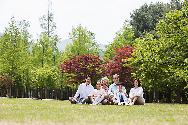 포토 JPG 주간 전신 나무 부부 응시 여자 노년 남자 어린이 가족 안기 대가족 남매 가족애 미소 웃음 사람 앉기 잔디 여러명 성인 야외 앞모습 10대 30대 부모 한국인 자녀 가족라이프 60대 손주 즐거움 70대 남이섬 조부모 단체사진 국내포토 자연요소 식물 라이프스타일 커플 시선 감정 뷰포인트 섬 다수 관계 모션 청소년 표정 사랑 동양인 장년 강원도 기념사진 파일형식