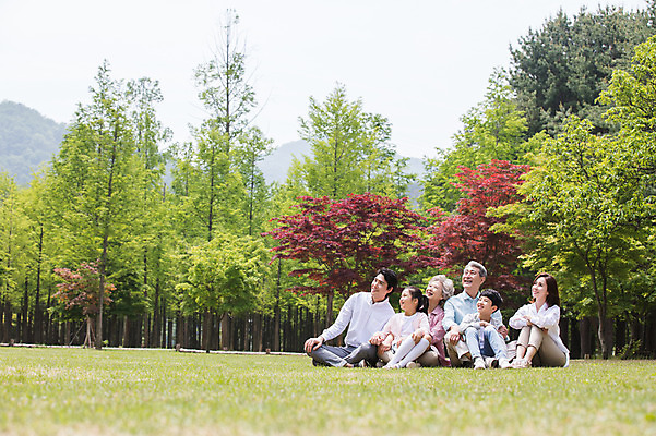 포토 JPG 주간 전신 나무 부부 응시 여자 노년 남자 어린이 가족 대가족 남매 가족애 미소 사람 앉기 잔디 여러명 성인 야외 앞모습 옆모습 10대 30대 부모 한국인 올려보기 자녀 가족라이프 60대 손주 70대 남이섬 조부모 단체사진 국내포토 자연요소 식물 라이프스타일 커플 시선 뷰포인트 섬 다수 관계 모션 청소년 표정 사랑 동양인 장년 강원도 기념사진 파일형식