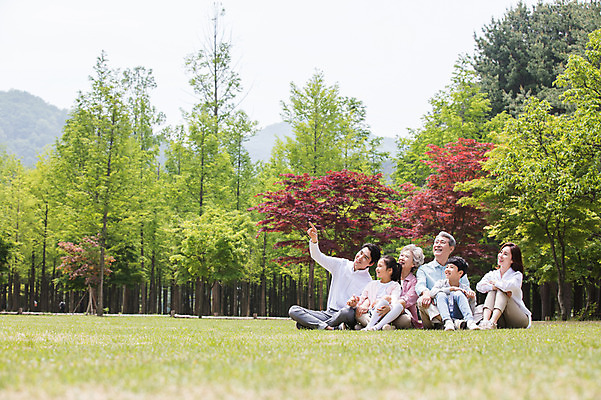포토 JPG 주간 전신 나무 부부 응시 여자 노년 남자 어린이 가족 안기 대가족 남매 가족애 미소 사람 잔디 여러명 성인 야외 앞모습 옆모습 10대 30대 부모 한국인 올려보기 자녀 가리킴 가족라이프 60대 손주 가부좌 70대 남이섬 조부모 단체사진 국내포토 자연요소 식물 라이프스타일 커플 시선 뷰포인트 섬 다수 관계 모션 청소년 표정 사랑 앉기 동양인 손짓 장년 강원도 기념사진 파일형식