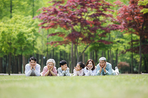 포토 JPG 주간 전신 나무 부부 여자 노년 남자 어린이 엎드리기 가족 대가족 남매 가족애 웃음 사람 잔디 여러명 상반신 성인 야외 앞모습 10대 30대 부모 마주보기 턱괴기 한국인 자녀 가족라이프 60대 손주 즐거움 70대 남이섬 조부모 단체사진 국내포토 자연요소 식물 라이프스타일 커플 감정 뷰포인트 섬 다수 관계 모션 청소년 표정 사랑 동양인 장년 강원도 기념사진 파일형식