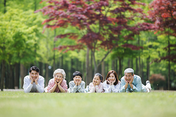 포토 JPG 주간 전신 나무 부부 여자 노년 남자 어린이 엎드리기 가족 대가족 남매 가족애 미소 사람 잔디 여러명 상반신 성인 야외 앞모습 10대 30대 부모 턱괴기 한국인 자녀 가족라이프 60대 손주 즐거움 70대 남이섬 조부모 단체사진 국내포토 자연요소 식물 라이프스타일 커플 감정 뷰포인트 섬 다수 관계 모션 청소년 표정 사랑 동양인 장년 강원도 기념사진 파일형식