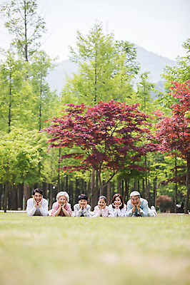 포토 JPG 주간 나무 여자 노년 남자 어린이 엎드리기 가족 대가족 가족애 미소 사람 잔디 여러명 상반신 성인 야외 앞모습 10대 30대 부모 턱괴기 한국인 자녀 가족라이프 60대 손주 즐거움 70대 남이섬 단체사진 국내포토 자연요소 식물 라이프스타일 감정 뷰포인트 섬 다수 관계 모션 청소년 표정 사랑 동양인 장년 강원도 기념사진 파일형식