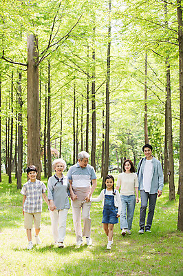 포토 JPG 주간 전신 나무 부부 응시 여자 노년 남자 어린이 가족 대가족 남매 가족애 미소 사람 잔디 여러명 성인 야외 앞모습 10대 30대 부모 걷기 손잡기 노부부 산책 한국인 자녀 가족라이프 60대 숲 손주 즐거움 70대 남이섬 조부모 국내포토 자연요소 식물 라이프스타일 커플 시선 감정 뷰포인트 섬 다수 관계 모션 청소년 휴식 표정 사랑 동양인 장년 강원도 파일형식