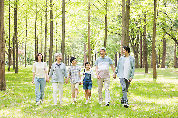 포토 JPG 주간 전신 나무 부부 응시 여자 노년 남자 어린이 가족 대가족 남매 가족애 미소 사람 잔디 여러명 성인 야외 앞모습 10대 30대 부모 걷기 손잡기 한국인 자녀 가족라이프 60대 숲 손주 즐거움 70대 남이섬 조부모 국내포토 자연요소 식물 라이프스타일 커플 시선 감정 뷰포인트 섬 다수 관계 모션 청소년 표정 사랑 동양인 장년 강원도 파일형식
