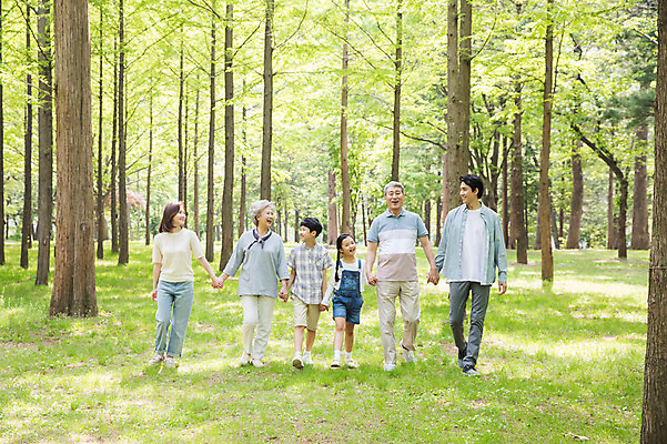 포토 JPG 주간 전신 나무 부부 응시 여자 노년 남자 행복 어린이 가족 대가족 남매 가족애 미소 사람 잔디 여러명 성인 야외 앞모습 10대 30대 부모 걷기 손잡기 한국인 자녀 가족라이프 60대 숲 손주 즐거움 70대 남이섬 조부모 국내포토 자연요소 식물 라이프스타일 커플 시선 감정 뷰포인트 섬 다수 관계 모션 청소년 표정 사랑 동양인 장년 강원도 파일형식