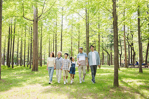 포토 JPG 주간 전신 나무 부부 응시 여자 노년 남자 어린이 가족 대가족 남매 가족애 미소 사람 잔디 여러명 성인 야외 앞모습 10대 30대 부모 걷기 손잡기 한국인 자녀 가족라이프 60대 숲 손주 즐거움 70대 남이섬 조부모 국내포토 자연요소 식물 라이프스타일 커플 시선 감정 뷰포인트 섬 다수 관계 모션 청소년 표정 사랑 동양인 장년 강원도 파일형식