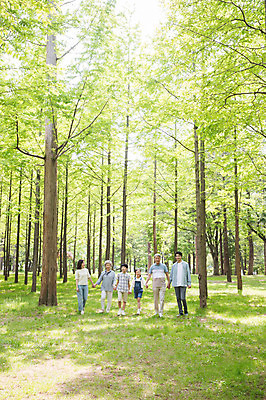 포토 JPG 주간 전신 나무 부부 여자 노년 남자 어린이 가족 하늘 대가족 남매 가족애 미소 사람 잔디 여러명 성인 야외 앞모습 10대 30대 부모 걷기 손잡기 한국인 자녀 가족라이프 60대 숲 손주 즐거움 70대 남이섬 조부모 국내포토 자연요소 식물 라이프스타일 커플 감정 뷰포인트 섬 다수 관계 모션 청소년 표정 사랑 동양인 장년 강원도 파일형식