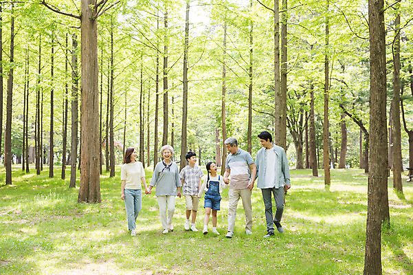 포토 JPG 주간 전신 나무 부부 여자 노년 남자 어린이 가족 대가족 남매 가족애 미소 사람 잔디 여러명 성인 야외 앞모습 10대 30대 부모 마주보기 걷기 손잡기 한국인 자녀 가족라이프 60대 숲 손주 즐거움 70대 남이섬 조부모 국내포토 자연요소 식물 라이프스타일 커플 감정 뷰포인트 섬 다수 관계 모션 청소년 표정 사랑 동양인 장년 강원도 파일형식