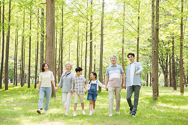 포토 JPG 주간 전신 나무 부부 여자 노년 남자 어린이 가족 대가족 남매 가족애 미소 사람 잔디 여러명 성인 야외 앞모습 10대 30대 부모 마주보기 걷기 손잡기 한국인 자녀 가리킴 가족라이프 60대 숲 손주 70대 남이섬 조부모 국내포토 자연요소 식물 라이프스타일 커플 뷰포인트 섬 다수 관계 모션 청소년 표정 사랑 동양인 손짓 장년 강원도 파일형식
