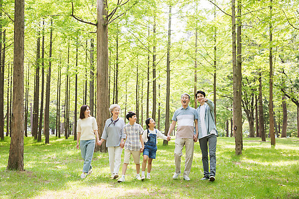 포토 JPG 주간 전신 나무 부부 여자 노년 남자 어린이 가족 대가족 남매 가족애 미소 사람 잔디 여러명 성인 야외 앞모습 10대 30대 부모 손잡기 한국인 자녀 가리킴 가족라이프 60대 숲 손주 즐거움 70대 남이섬 조부모 국내포토 자연요소 식물 라이프스타일 커플 감정 뷰포인트 섬 다수 관계 모션 청소년 표정 사랑 동양인 손짓 장년 강원도 파일형식