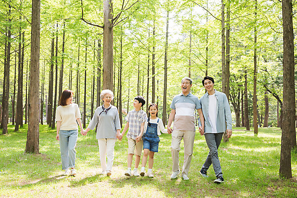 포토 JPG 주간 전신 나무 부부 여자 노년 남자 어린이 가족 대가족 남매 가족애 미소 사람 잔디 여러명 성인 야외 앞모습 10대 30대 부모 걷기 손잡기 한국인 자녀 가족라이프 60대 숲 손주 즐거움 70대 남이섬 조부모 국내포토 자연요소 식물 라이프스타일 커플 감정 뷰포인트 섬 다수 관계 모션 청소년 표정 사랑 동양인 장년 강원도 파일형식