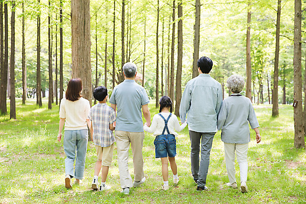 포토 JPG 주간 전신 나무 부부 여자 노년 남자 어린이 가족 대가족 남매 가족애 사람 잔디 여러명 성인 야외 뒷모습 10대 30대 부모 걷기 손잡기 한국인 자녀 가족라이프 60대 숲 손주 70대 남이섬 조부모 국내포토 자연요소 식물 라이프스타일 커플 뷰포인트 섬 다수 관계 모션 청소년 사랑 동양인 장년 강원도 파일형식