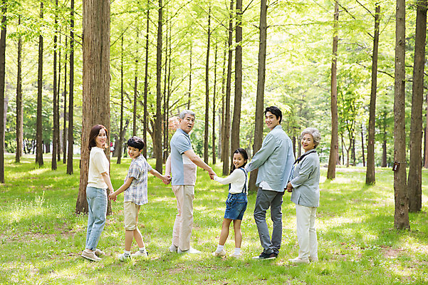 포토 JPG 주간 전신 나무 부부 여자 노년 남자 어린이 가족 대가족 남매 가족애 미소 사람 잔디 여러명 성인 야외 뒷모습 10대 30대 부모 손잡기 한국인 자녀 가족라이프 뒤돌아보기 60대 숲 손주 70대 남이섬 조부모 국내포토 자연요소 식물 라이프스타일 커플 뷰포인트 섬 다수 관계 모션 청소년 표정 사랑 동양인 장년 강원도 파일형식