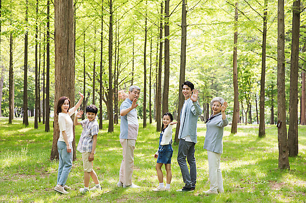 포토 JPG 주간 전신 나무 부부 여자 노년 남자 행복 어린이 가족 대가족 남매 가족애 미소 사람 잔디 여러명 성인 야외 뒷모습 10대 30대 부모 손들기 한국인 자녀 인사 가족라이프 뒤돌아보기 60대 숲 손주 즐거움 70대 남이섬 조부모 국내포토 자연요소 식물 라이프스타일 커플 감정 뷰포인트 섬 다수 관계 모션 청소년 표정 사랑 동양인 장년 예절 강원도 파일형식