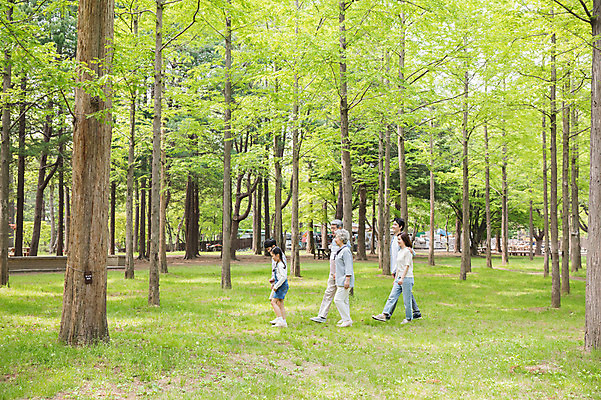 포토 JPG 주간 전신 나무 부부 여자 노년 남자 어린이 가족 대가족 남매 가족애 사람 잔디 여러명 성인 야외 옆모습 10대 30대 부모 걷기 산책 한국인 자녀 가족라이프 60대 숲 손주 70대 남이섬 국내포토 자연요소 식물 라이프스타일 커플 뷰포인트 섬 다수 관계 모션 청소년 휴식 사랑 동양인 장년 강원도 파일형식