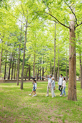 포토 JPG 주간 전신 나무 부부 여자 노년 남자 어린이 가족 대가족 남매 가족애 미소 사람 잔디 여러명 성인 야외 옆모습 10대 30대 부모 걷기 산책 한국인 자녀 가리킴 가족라이프 60대 숲 손주 70대 남이섬 어깨에손 국내포토 자연요소 식물 라이프스타일 커플 뷰포인트 섬 다수 관계 모션 청소년 휴식 표정 사랑 동양인 손짓 장년 강원도 파일형식
