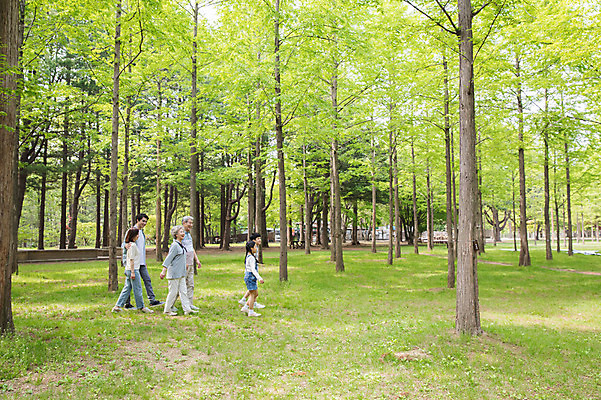 포토 JPG 주간 전신 나무 부부 여자 노년 남자 어린이 가족 대가족 남매 가족애 사람 잔디 여러명 성인 야외 옆모습 10대 30대 부모 걷기 산책 한국인 자녀 가족라이프 60대 숲 손주 70대 남이섬 국내포토 자연요소 식물 라이프스타일 커플 뷰포인트 섬 다수 관계 모션 청소년 휴식 사랑 동양인 장년 강원도 파일형식