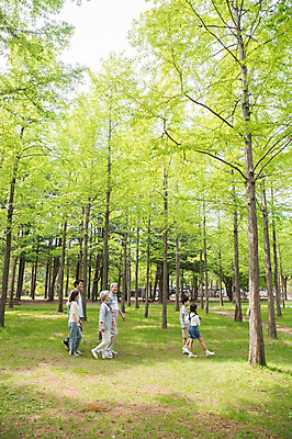포토 JPG 주간 전신 나무 부부 여자 노년 남자 어린이 가족 대가족 남매 가족애 사람 잔디 여러명 성인 야외 옆모습 10대 30대 부모 소풍 걷기 산책 한국인 자녀 가족라이프 60대 숲 손주 70대 남이섬 국내포토 자연요소 식물 라이프스타일 커플 뷰포인트 섬 다수 관계 모션 청소년 휴식 사랑 동양인 장년 야외활동 강원도 파일형식