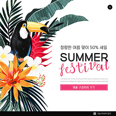 PSD 템플릿 한마리 꽃 ZIP 웹템플릿 잎 팝업 이벤트팝업 웹팝업 이벤트 사람없음 여름 세일 앵무새 이미지템플릿 식물 1 계절 조류 파일형식