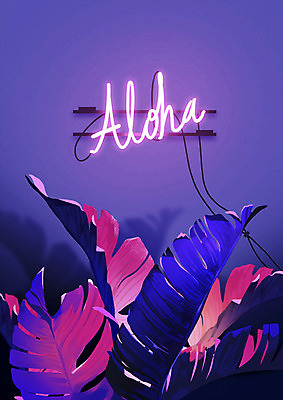 PSD 식물 영어 잎 일러스트 나뭇잎 그림자 사람없음 빛 보라색 전선 네온 알로하 네온아트 보테니컬아트 국내일러스트 문자 컬러 인사 파일형식