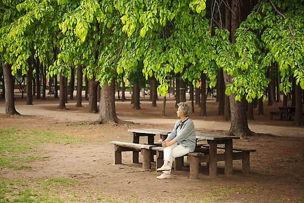 포토 JPG 주간 전신 나무 응시 여자 노년 할머니 벤치 휴식 한명 사람 앉기 야외 옆모습 한국인 60대 숲 남이섬 노인여자한명만 국내포토 자연요소 식물 1 시선 뷰포인트 섬 컨셉 의자 모션 동양인 성인 강원도 여자한명만 노인여자만 파일형식