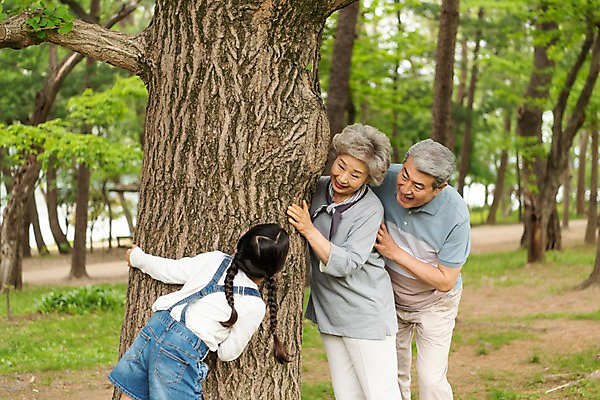 포토 JPG 주간 나무 응시 여자 할아버지 노년 남자 할머니 어린이 가족 손녀 가족애 미소 사람 상반신 야외 옆모습 뒷모습 10대 세명 소풍 한국인 60대 숲 손주 나무기둥 70대 남이섬 숨바꼭질 조부모 국내포토 자연요소 식물 시선 뷰포인트 섬 관계 청소년 표정 사랑 동양인 성인 야외활동 강원도 파일형식