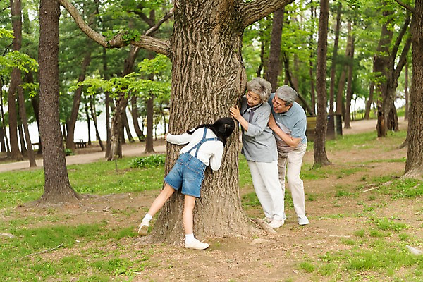 포토 JPG 주간 전신 나무 응시 여자 할아버지 노년 남자 할머니 어린이 가족 손녀 가족애 미소 사람 야외 옆모습 뒷모습 10대 세명 소풍 한국인 잡기 60대 숲 손주 70대 남이섬 놀기 숨기 조부모 국내포토 자연요소 식물 시선 뷰포인트 섬 관계 모션 청소년 표정 사랑 동양인 성인 야외활동 강원도 파일형식