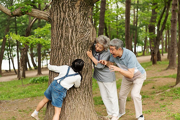 포토 JPG 주간 전신 나무 응시 여자 할아버지 노년 남자 할머니 어린이 가족 손녀 가족애 사람 손짓 야외 옆모습 뒷모습 10대 세명 소풍 한국인 잡기 60대 숲 손주 나무기둥 70대 남이섬 숨기 조부모 국내포토 자연요소 식물 시선 뷰포인트 섬 관계 모션 청소년 사랑 동양인 성인 야외활동 강원도 파일형식