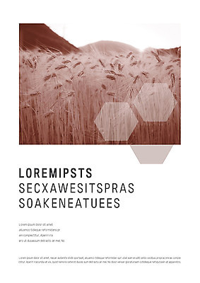 템플릿 표지 사람없음 프레젠테이션 언덕 문서템플릿 서식 문서 제안서 갈대밭 이미지템플릿 AI파일 파일형식 벡터 갈대_식물