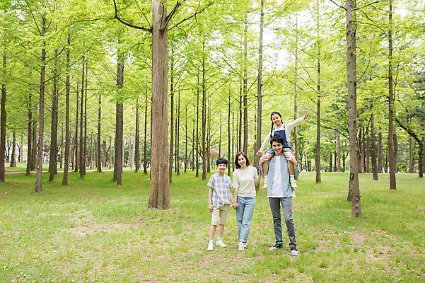 포토 JPG 주간 전신 나무 여자 남자 어린이 40대 가족 팔벌리기 서기 미소 사람 잔디 여러명 성인 야외 앞모습 10대 30대 부모 손잡기 한국인 자녀 목말 숲 핵가족 남이섬 국내포토 자연요소 식물 뷰포인트 섬 중년 다수 관계 모션 청소년 표정 동양인 장년 강원도 파일형식