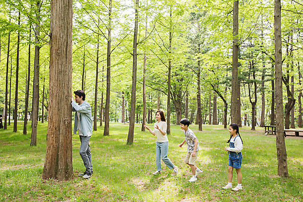 포토 JPG 주간 전신 나무 여자 남자 어린이 40대 포즈 가족 놀이 사람 잔디 여러명 성인 야외 옆모습 10대 30대 부모 한국인 자녀 정지 숲 핵가족 나무기둥 남이섬 무궁화꽃이피었습니다 술래 국내포토 자연요소 식물 뷰포인트 섬 중년 다수 관계 모션 청소년 동양인 장년 강원도 파일형식