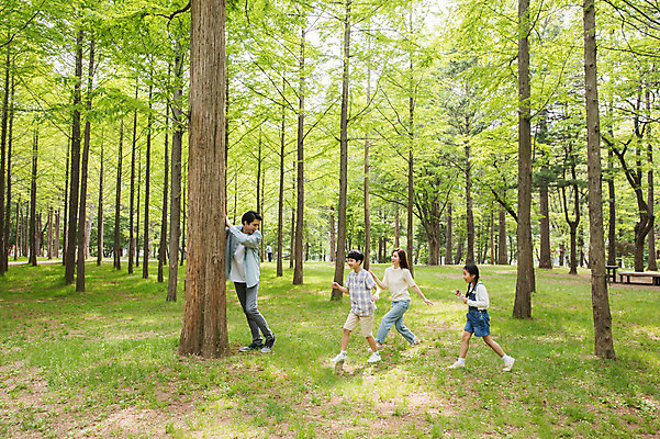 포토 JPG 주간 전신 나무 여자 남자 어린이 40대 포즈 가족 놀이 미소 사람 잔디 여러명 성인 야외 옆모습 10대 30대 부모 한국인 자녀 정지 숲 핵가족 나무기둥 남이섬 무궁화꽃이피었습니다 술래 국내포토 자연요소 식물 뷰포인트 섬 중년 다수 관계 모션 청소년 표정 동양인 장년 강원도 파일형식