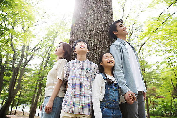 포토 JPG 주간 여자 남자 어린이 40대 가족 서기 미소 사람 여러명 상반신 성인 야외 앞모습 옆모습 10대 30대 부모 손잡기 기댐 한국인 올려보기 자녀 나뭇가지 숲속 핵가족 나무기둥 남이섬 국내포토 자연요소 나무 뷰포인트 섬 중년 다수 관계 모션 청소년 표정 동양인 장년 숲 강원도 파일형식