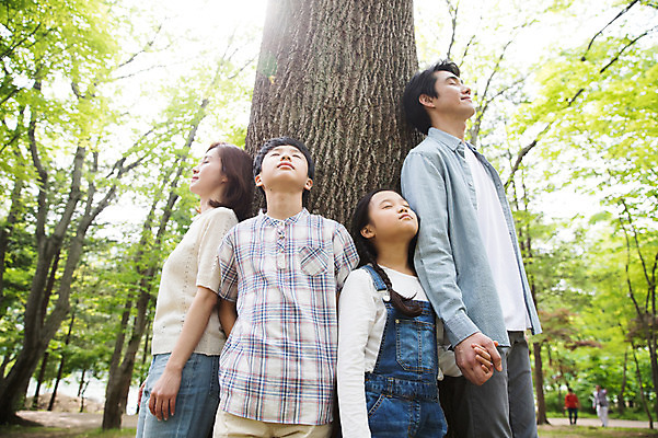 포토 JPG 주간 여자 남자 어린이 40대 가족 서기 사람 여러명 상반신 성인 야외 앞모습 옆모습 10대 30대 부모 눈감음 손잡기 기댐 한국인 자녀 나뭇가지 숲속 핵가족 나무기둥 남이섬 국내포토 자연요소 나무 뷰포인트 섬 중년 다수 관계 모션 청소년 동양인 장년 숲 강원도 파일형식