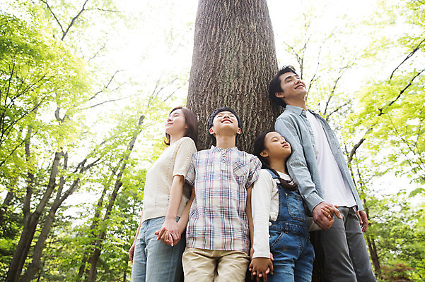 포토 JPG 주간 여자 남자 어린이 로우앵글 40대 가족 나뭇잎 서기 미소 사람 여러명 상반신 성인 야외 앞모습 10대 30대 부모 눈감음 손잡기 기댐 한국인 자녀 나뭇가지 핵가족 나무기둥 남이섬 국내포토 자연요소 나무 뷰포인트 섬 중년 다수 잎 관계 모션 청소년 표정 동양인 장년 강원도 파일형식