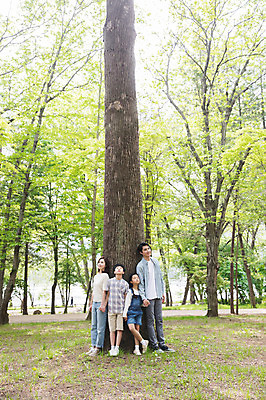 포토 JPG 주간 전신 여자 남자 어린이 40대 가족 자연 서기 사람 여러명 성인 야외 앞모습 10대 30대 부모 손잡기 기댐 한국인 자녀 숲 핵가족 나무기둥 남이섬 국내포토 자연요소 뷰포인트 섬 중년 다수 관계 모션 청소년 동양인 장년 생태계 강원도 파일형식