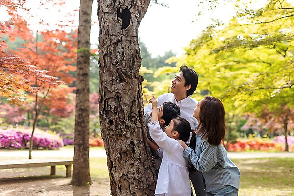포토 JPG 주간 여자 남자 어린이 40대 벤치 가족 단풍나무 미소 사람 잔디 여러명 상반신 성인 야외 옆모습 10대 30대 부모 한국인 자녀 가리킴 숲속 핵가족 고목 남이섬 국내포토 자연요소 나무 식물 뷰포인트 섬 중년 다수 단풍 의자 관계 청소년 표정 동양인 손짓 장년 숲 강원도 파일형식