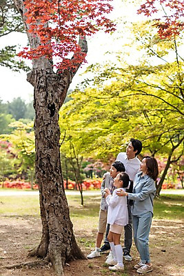 포토 JPG 주간 전신 여자 남자 어린이 40대 가족 단풍나무 미소 사람 여러명 성인 야외 옆모습 10대 30대 부모 놀람 한국인 자녀 숲속 핵가족 숲길 고목 남이섬 어깨에손 국내포토 자연요소 나무 감정 길 뷰포인트 섬 중년 다수 단풍 관계 모션 청소년 표정 동양인 장년 숲 강원도 파일형식