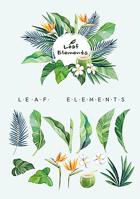 PSD 꽃백그라운드 일러스트 나뭇잎 수채화 종류 빨대 사람없음 야자수 다양 야자수잎 엘리먼트 열대꽃 열대잎 코코넛주스 국내일러스트 나무 꽃 다수 백그라운드 잎 주스 코코넛 파일형식