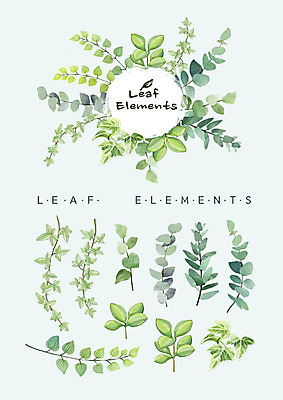 PSD 식물 꽃백그라운드 일러스트 나뭇잎 수채화 종류 사람없음 봄 다양 풀잎 엘리먼트 국내일러스트 계절 꽃 다수 백그라운드 잎 풀_식물 파일형식