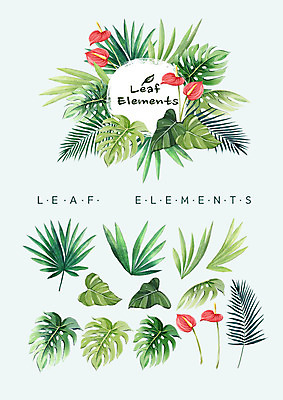 PSD 꽃백그라운드 일러스트 여름꽃 나뭇잎 수채화 종류 사람없음 다양 안스리움 엘리먼트 열대잎 국내일러스트 꽃 다수 백그라운드 잎 파일형식 여름_계절