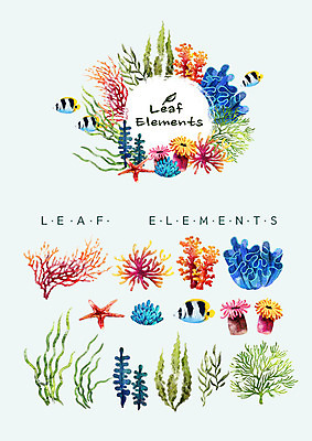 PSD 꽃백그라운드 여러마리 일러스트 나뭇잎 수채화 불가사리 종류 어류 사람없음 다양 산호초 열대어 엘리먼트 국내일러스트 꽃 다수 백그라운드 잎 극피동물 수중동물 수중식물 파일형식