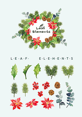 PSD 열매 꽃백그라운드 일러스트 나뭇잎 수채화 종류 사람없음 다양 솔방울 포인세티아 엘리먼트 국내일러스트 식물 꽃 다수 백그라운드 잎 파일형식