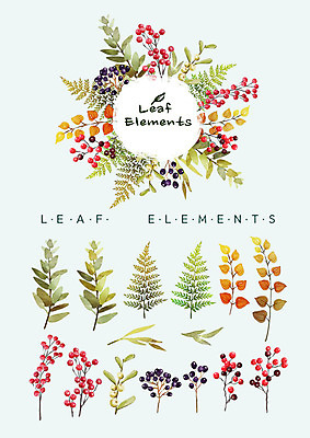 PSD 열매 단풍 꽃백그라운드 일러스트 나뭇잎 수채화 종류 사람없음 다양 가을 엘리먼트 가을배경 국내일러스트 식물 계절 꽃 다수 백그라운드 잎 파일형식 가을_계절