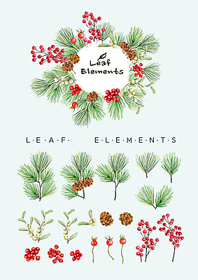 PSD 열매 꽃백그라운드 일러스트 나뭇잎 수채화 종류 사람없음 다양 솔방울 솔잎 엘리먼트 국내일러스트 식물 꽃 다수 백그라운드 잎 파일형식