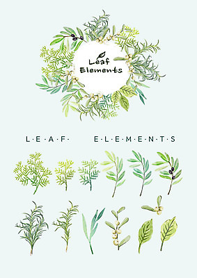 PSD 열매 꽃백그라운드 일러스트 봄꽃 나뭇잎 수채화 종류 사람없음 봄 다양 풀잎 올리브 엘리먼트 국내일러스트 식물 계절 꽃 다수 백그라운드 잎 풀_식물 파일형식