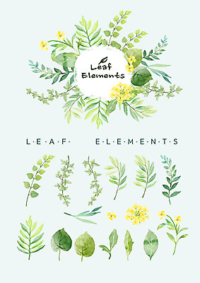 PSD 꽃 잎 꽃백그라운드 일러스트 봄꽃 나뭇잎 수채화 종류 사람없음 노란색 다양 엘리먼트 국내일러스트 식물 컬러 다수 백그라운드 봄 파일형식